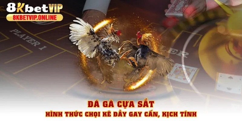 Đá gà cựa sắt